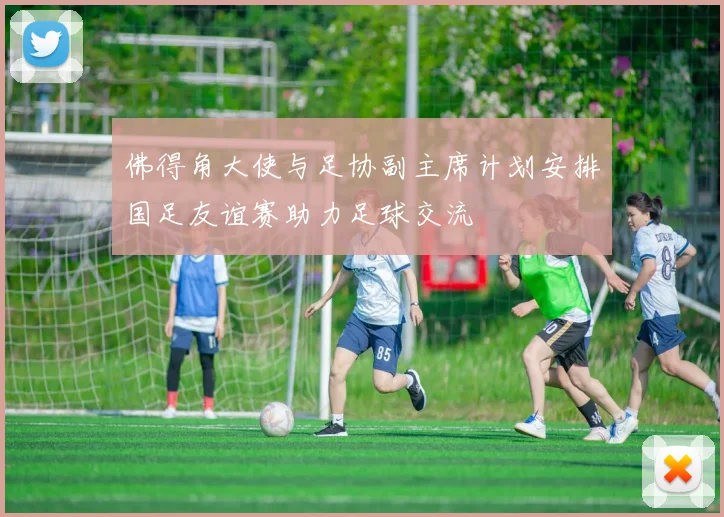 佛得角大使与足协副主席计划安排国足友谊赛助力足球交流